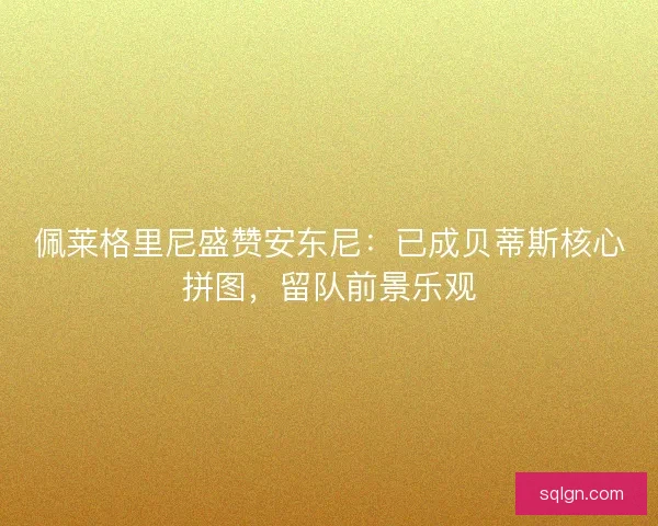 佩莱格里尼盛赞安东尼：已成贝蒂斯核心拼图，留队前景乐观