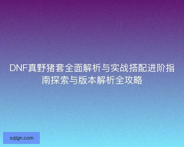 DNF真野猪套全面解析与实战搭配进阶指南探索与版本解析全攻略